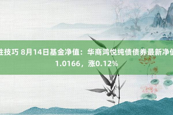 性技巧 8月14日基金净值:华商鸿悦纯债债券最新净值1.0166,涨0.12%