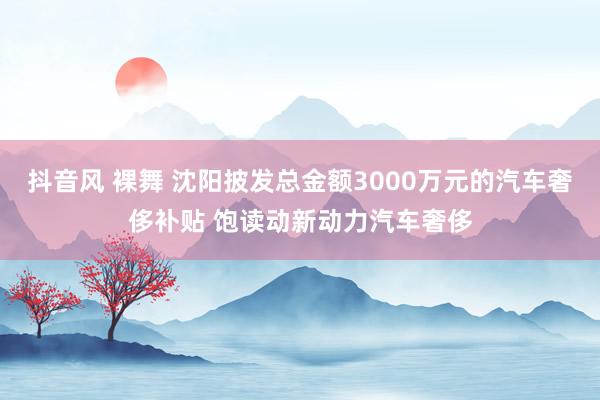 抖音风 裸舞 沈阳披发总金额3000万元的汽车奢侈补贴 饱读动新动力汽车奢侈