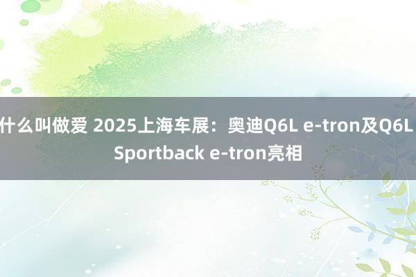 什么叫做爱 2025上海车展：奥迪Q6L e-tron及Q6L Sportback e-tron亮相