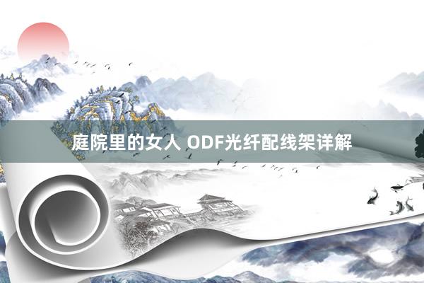 庭院里的女人 ODF光纤配线架详解