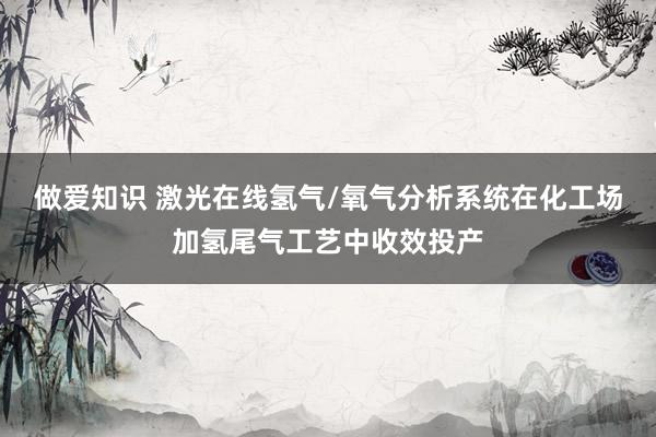 做爱知识 激光在线氢气/氧气分析系统在化工场加氢尾气工艺中收效投产