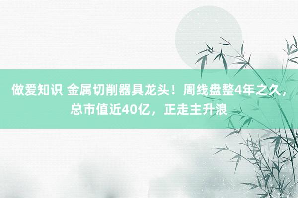 做爱知识 金属切削器具龙头！周线盘整4年之久，总市值近40亿，正走主升浪
