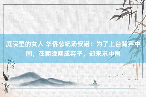 庭院里的女人 华侨总统汤安诺：为了上台背弃中国，在朝晚期成弃子，却来求中国