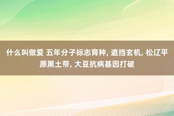 什么叫做爱 五年分子标志育种， 遮挡玄机， 松辽平原黑土带， 大豆抗病基因打破