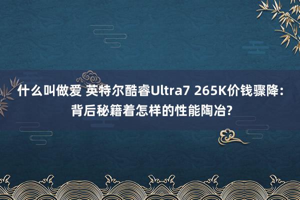 什么叫做爱 英特尔酷睿Ultra7 265K价钱骤降: 背后秘籍着怎样的性能陶冶?