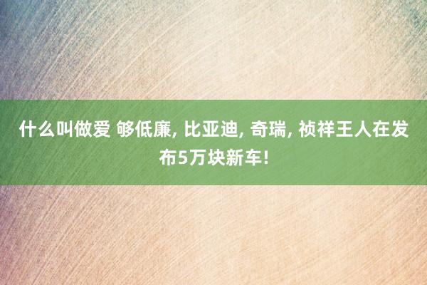 什么叫做爱 够低廉, 比亚迪, 奇瑞, 祯祥王人在发布5万块新车!