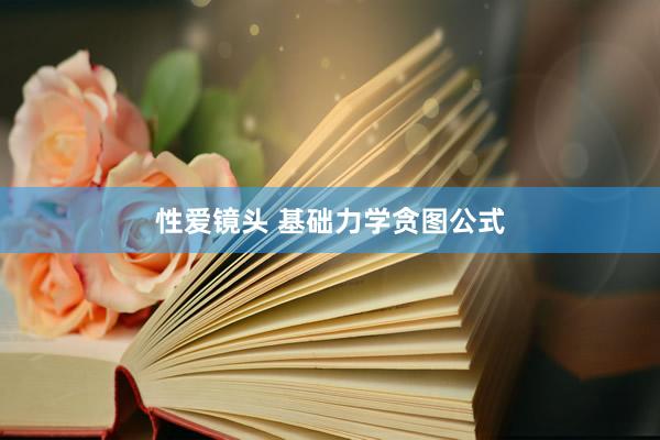 性爱镜头 基础力学贪图公式