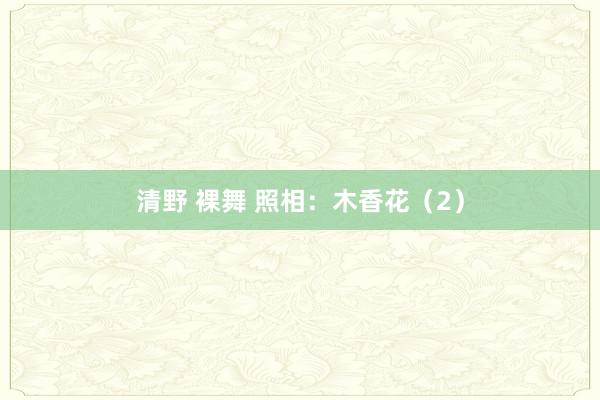 清野 裸舞 照相：木香花（2）