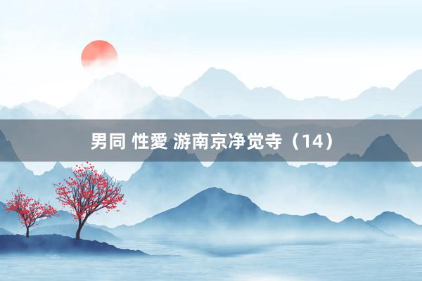 男同 性愛 游南京净觉寺（14）